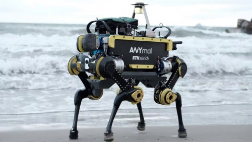 В Швейцарии изобрели водонепроницаемого четвероногого робота