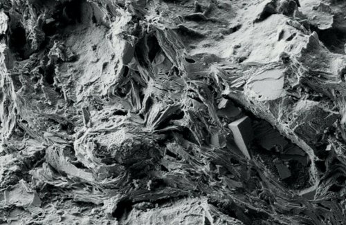 Археологи обнаружили в Приморье ранее неизвестную керамику «чёрной серии»