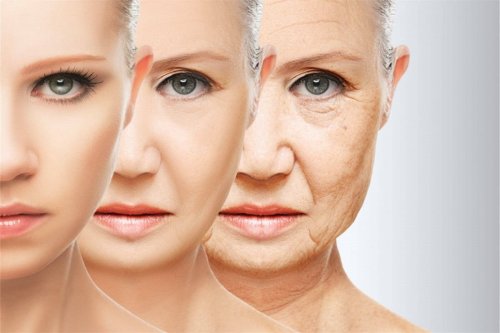 Московские учёные узнали ещё одну причину, из-за которой стареет кожа
