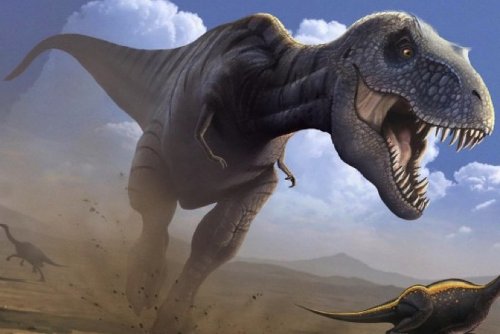 «Не дурнее людей»: Тираннозавры имели в голове «кондиционер» - Учёные