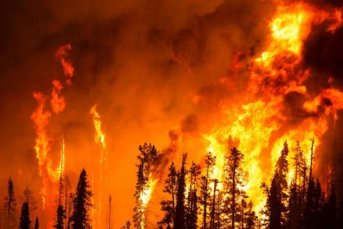 Дым от пожаров приводит к появлению смоляных шариков, разрушающих атмосферу – Экологи