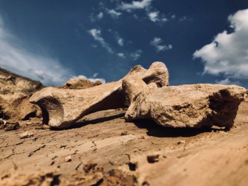 Учёные нашли следы самого древнего и массового вымирания на Земле
