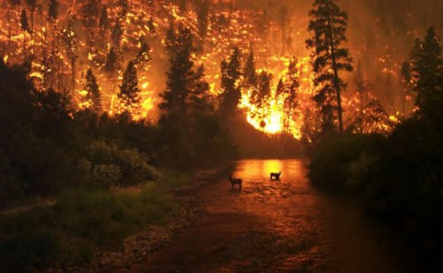 Пожары в Индонезии подтверждают гипотезу о глобальном потеплении на Земле