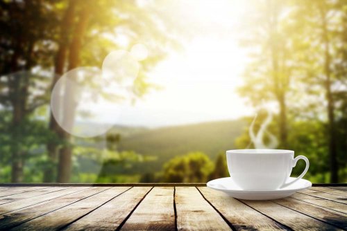 Чай способствует улучшению эффективности работы мозга – Учёные