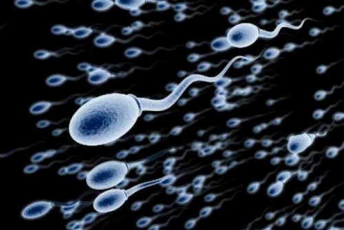 «Выродимся?»: Мужчины производят меньше половины спермы, чем 40 лет назад – Учёные