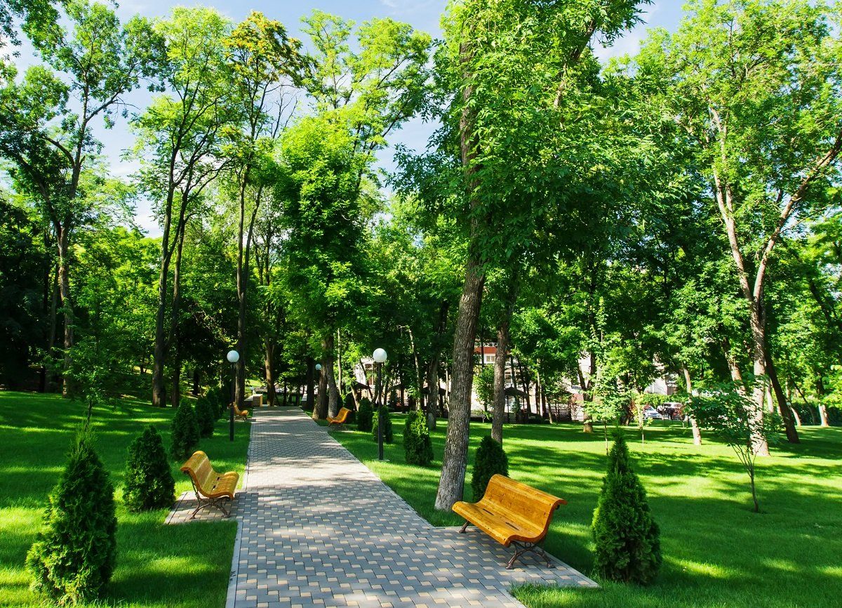 Зеленая зона 5. Парк на ХТЗ. Парки скверы аллеи сады в Краснодаре. Зеленые насаждения парк. Зеленые зоны в городе.