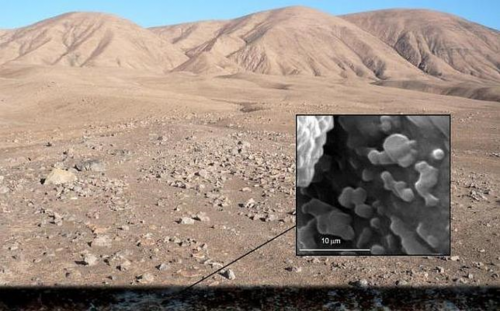 «Заражение жизнью»: Учёные предлагают «заразить» Марс - Бактерии должны обосноваться там до прибытия человека
