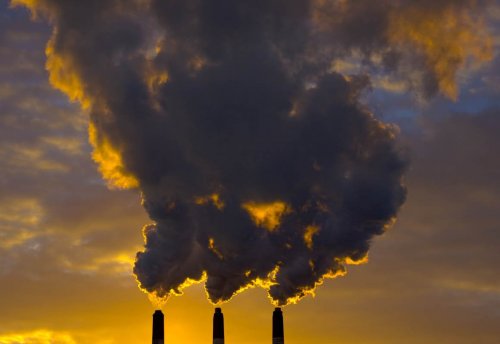 Ученые: Загрязненный воздух вызывает агрессию