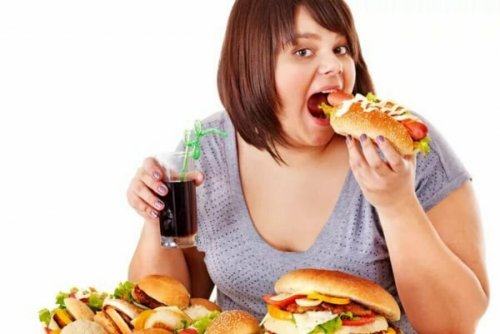 «Еда без перерыва»: Учёные развеяли миф о трёхразовом питании