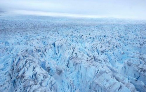 «Гренландия замерзает?»: Растения и животные остановили своё размножение