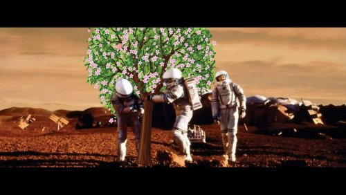 «И на Марсе будут яблони цвести!»: Строчки советской песни станут реальностью – Учёные
