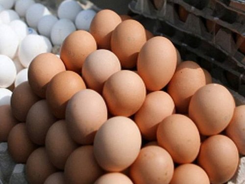«По три яйца в день – на здоровье»: Доктор Мясников развеял мифы вокруг них