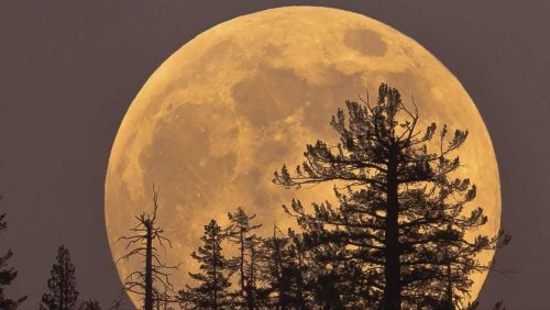 Таинственное пятно на Луне растёт: Учёные Китая считают его расплавленным стеклом