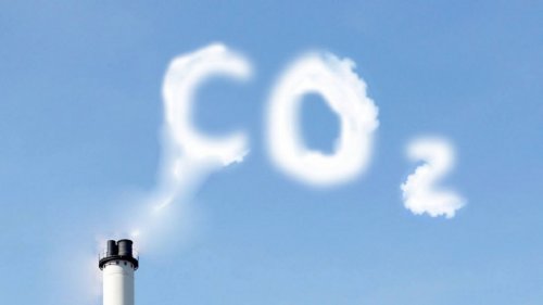 Улавливание углерода является очень вредным для экологии – Учёные