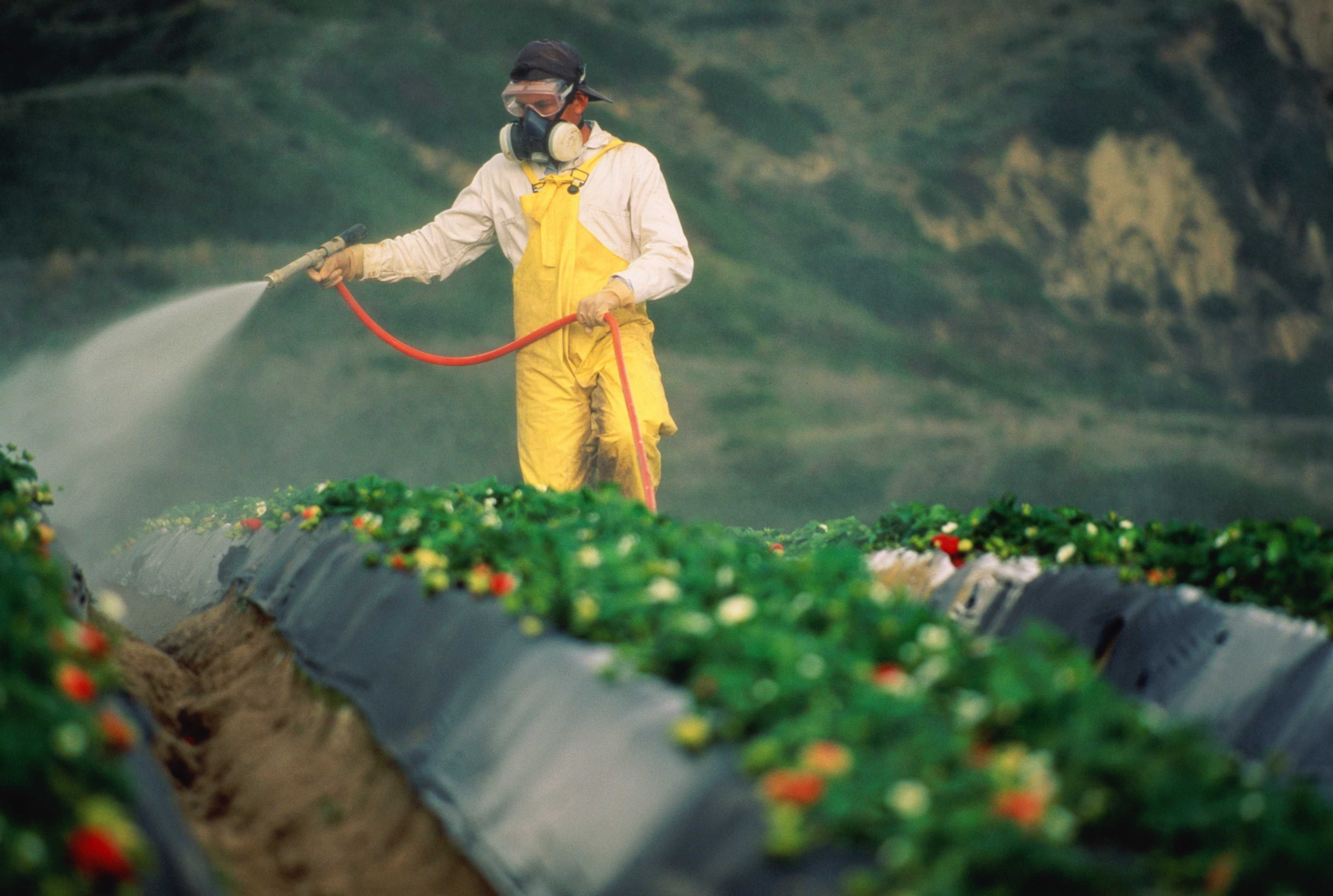 Пестициды ростов. Пестициды. Пестициды в сельском хозяйстве. Сельское хозяйство загрязнение. Загрязнение почвы пестицидами.