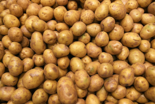 Медики рассказали о шести причинах не отказываться от картошки