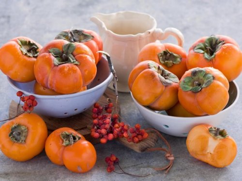 Эксперты рассказали о самых полезных овощах и фруктах ноября