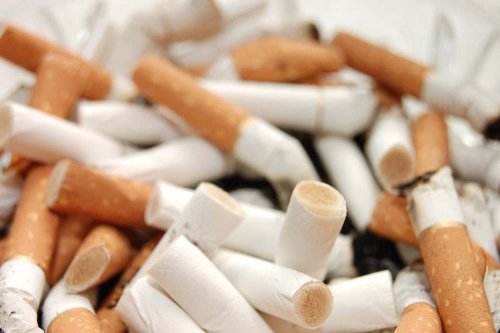 «Бычки» от сигарет с фильтром вредят экологии не меньше пластика