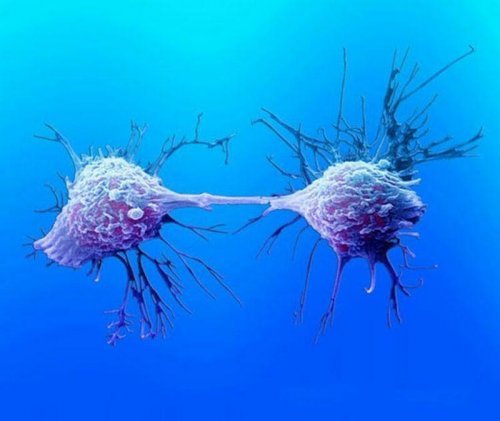 Все типы рака способен убить один-единственный вирус – Учёные