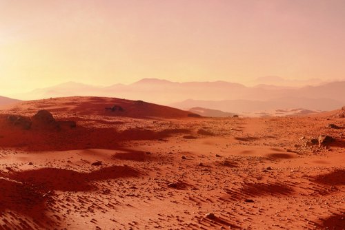 «Марс обитаем?»: На планете «нашли» нечто, напоминающее насекомых