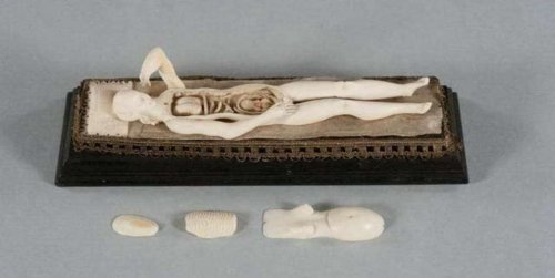 Древняя медицина скрывала свои секреты в уникальных манекенах из слоновьей кости