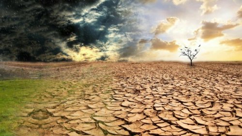 «Человечество на пороге вымирания»: Земля начала процесс самоуничтожения – Учёные