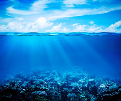 Мировой океан утрачивает свой кислород – Экологи