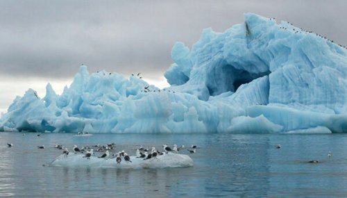 Учёные предлагают заморозить Арктику для её спасения