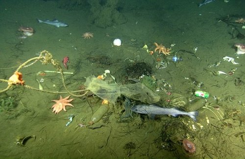 Тысячи загадочных дыр были найдены на дне океана у калифорнийского побережья