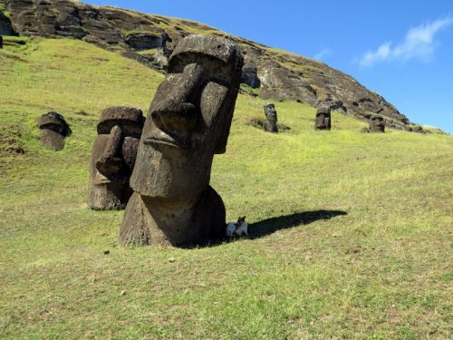 Ученые раскрыли тайны значения Моаи с острова Пасхи