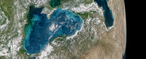 Ученые недооценили угрозу возникновения «мертвых зон» в Мировом океане