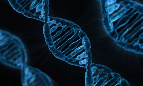 Генетический тест поможет найти причины возникновения редких заболеваний