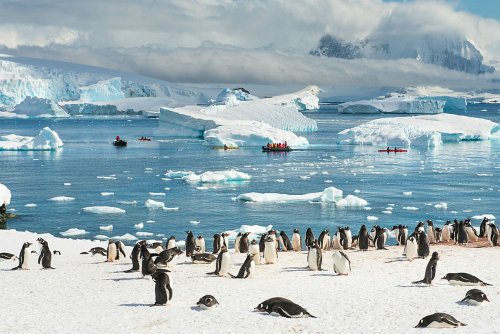Антарктида постепенно открывает свои гравитационные тайны – Учёные