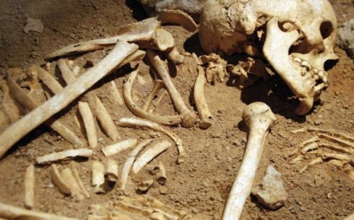 Древний скелет рассказывает историю карлика