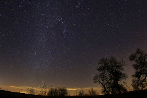 Пик метеоритного дождя Урсид наступит в день зимнего солнцестояния