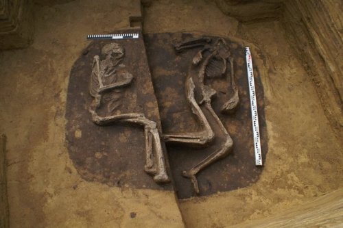 Необычная могила Тшцинецкой культуры представляет собой археологическую загадку