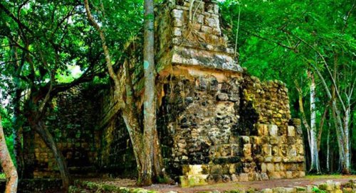 Археологи подтвердили  находку дворца Майя в джунглях Юкатана