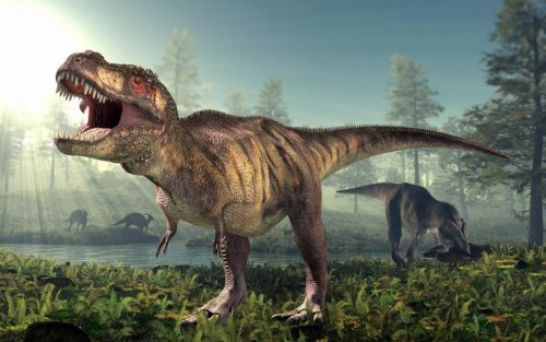 Новое исследование утверждает, что карликовый вид T. Rex никогда не существовал