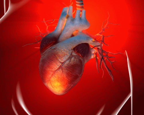 Новое лечение рубца от инфаркта  может решить проблему сердечной недостаточности