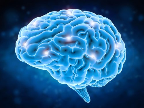 Наука вновь попала в ступор: Мозг способен к передаче закодированного сигнала, неизвестного учёным