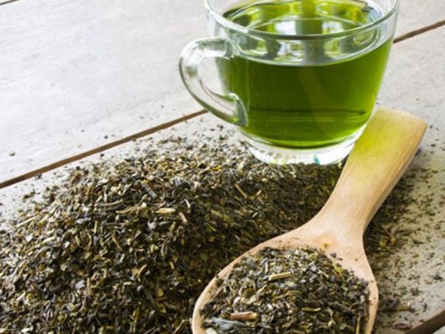 Зелёный чай реально продлевает человеческую жизнь – Медики