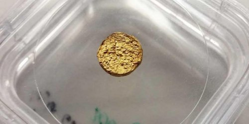 Самородок из 18-каратного золота ученые изготовили  из пластика