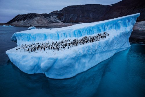 Антарктида всё больше осваивается «инопланетянами»