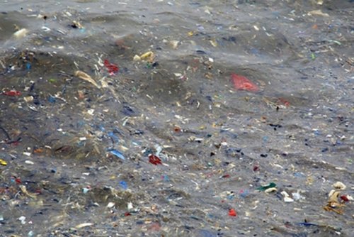 Баренцево море умирает: Масштабы его загрязнения пластиком стали катастрофическими