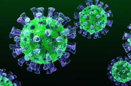 Нострадамус предсказал  вспышку  коронавируса