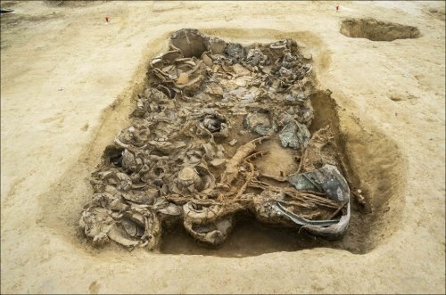 Княжеская усыпальница  железного века обнаружена в Италии