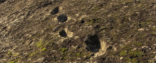Таинственные следы указывают на то, что неандертальцы поднялись на вулкан сразу после его извержения