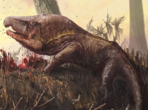 «Динозавры открывают свои тайны»: Учёные РФ впервые заглянули внутрь их черепа