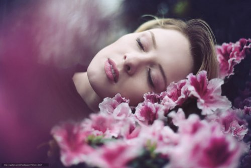 Аромат розы улучшает обучение во время сна