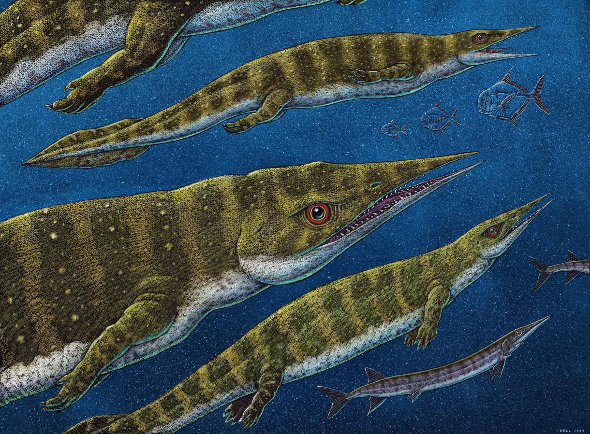 Динозавры жили миллионов лет назад. Талаттозавры (аскептозавр. Рептилии Триасового периода. Морские динозавры Триасового периода. Динозавры Триасового периода.